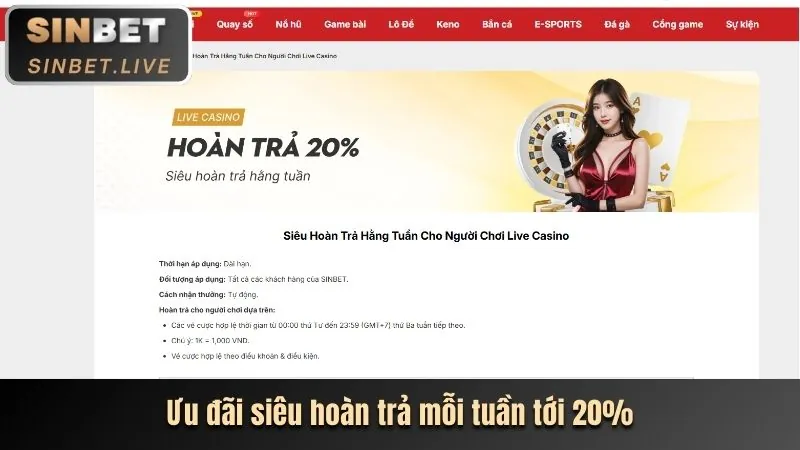 Chương trình hoàn trả hàng ngày tại 98bet link mới